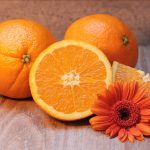 El universo de los cítricos: Un vistazo a sus variedades y al nuevo estándar del zumo de naranja